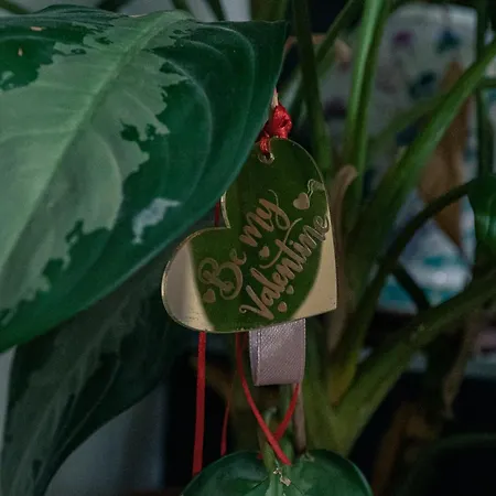 Apartman Palmina's *